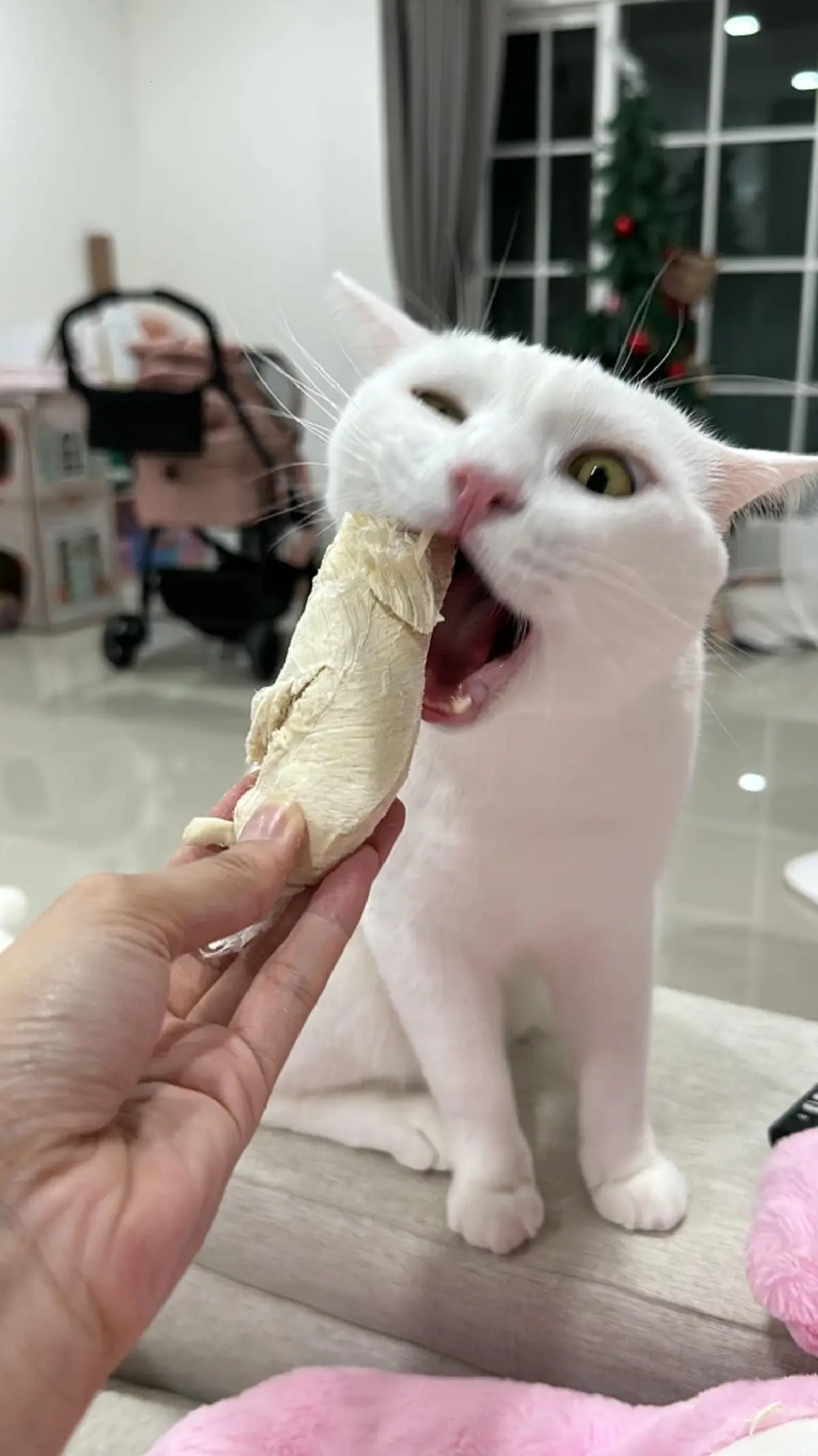 แม่ไข่ขาว เปิดใจเล่าเหตุการณ์ในวันสูญเสีย เกิดอะไรขึ้น