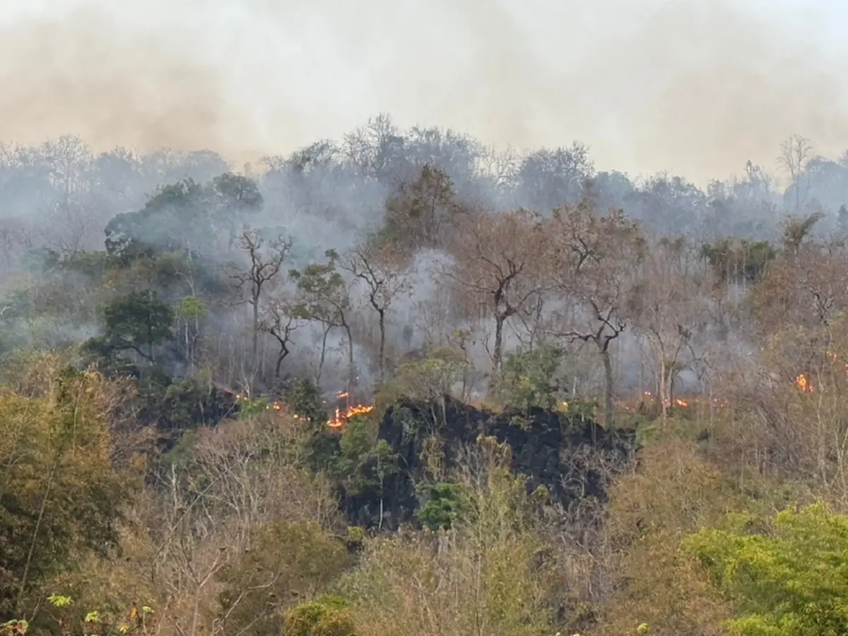 ภาพ @กรมอุทยานแห่งชาติ สัตว์ป่า และพันธุ์พืช
