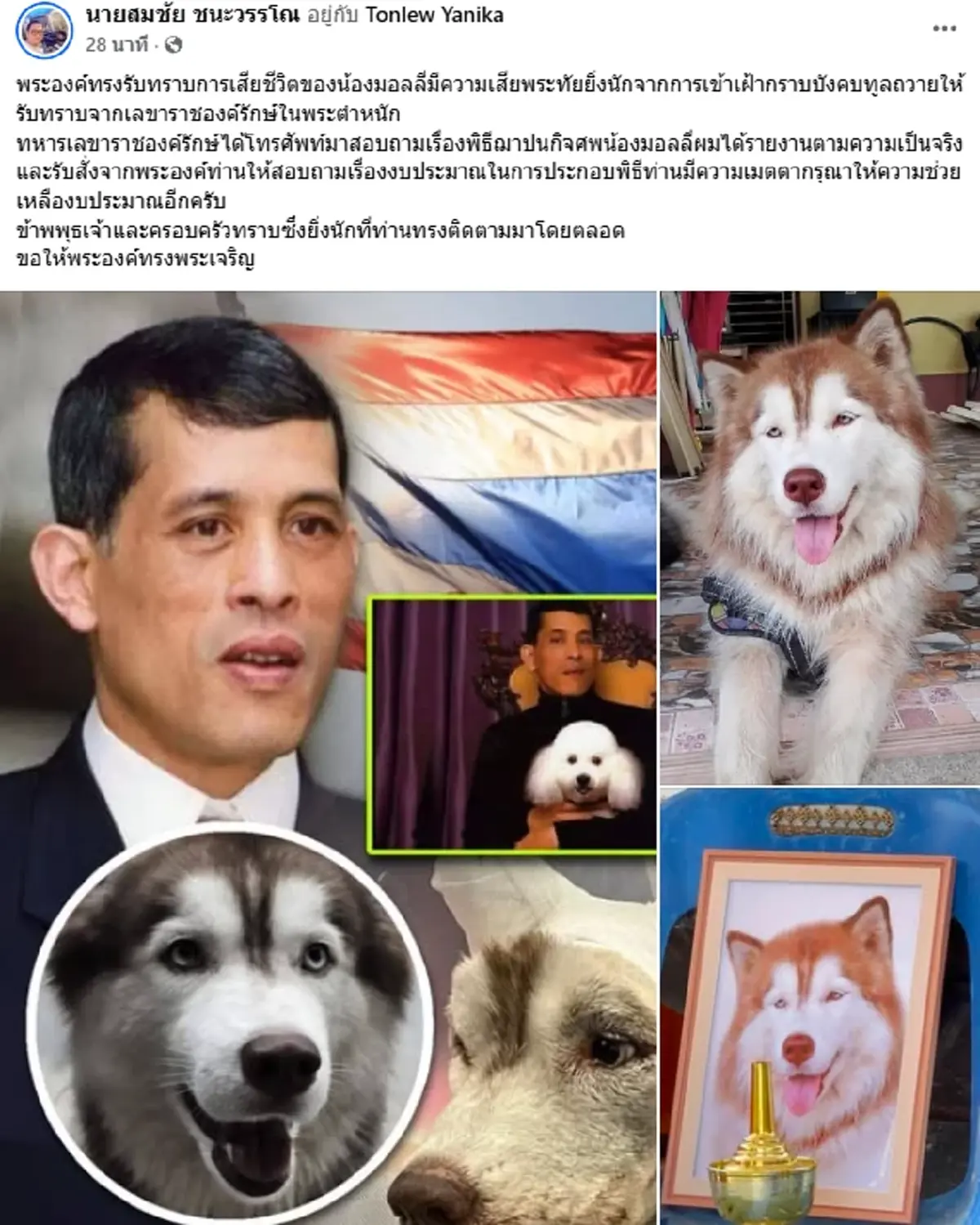 ในหลวงทรงรับทราบข่าว น้องมอลลี่ ทรงเสียพระราชหฤทัยยิ่ง