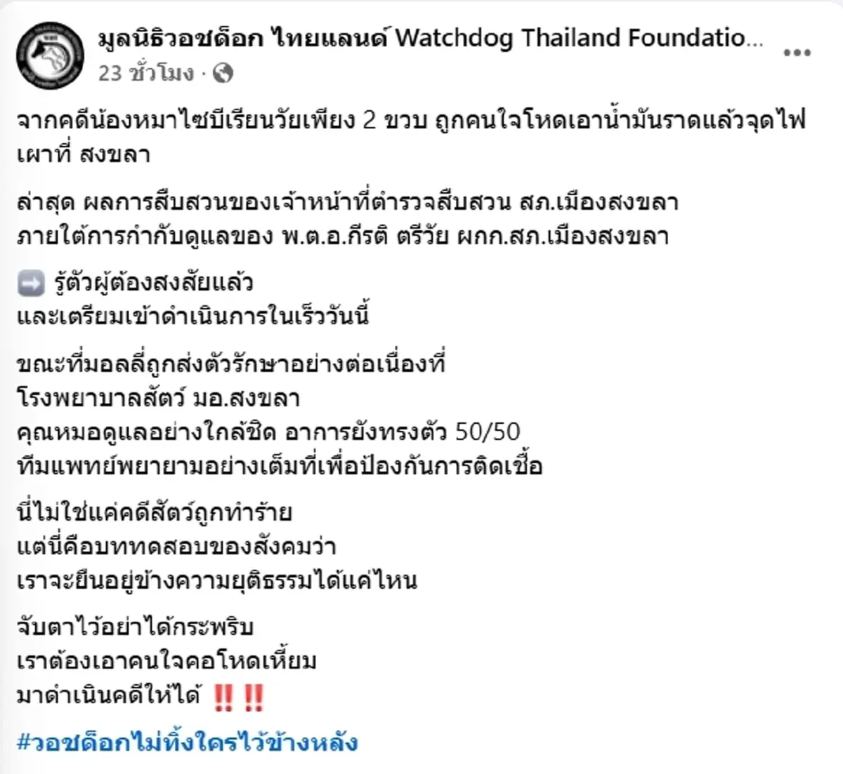 รู้ตัวผู้ต้องสงสัยแล้ว คนทำร้าย "มอลลี่" อาการล่าสุดยังน่าห่วง