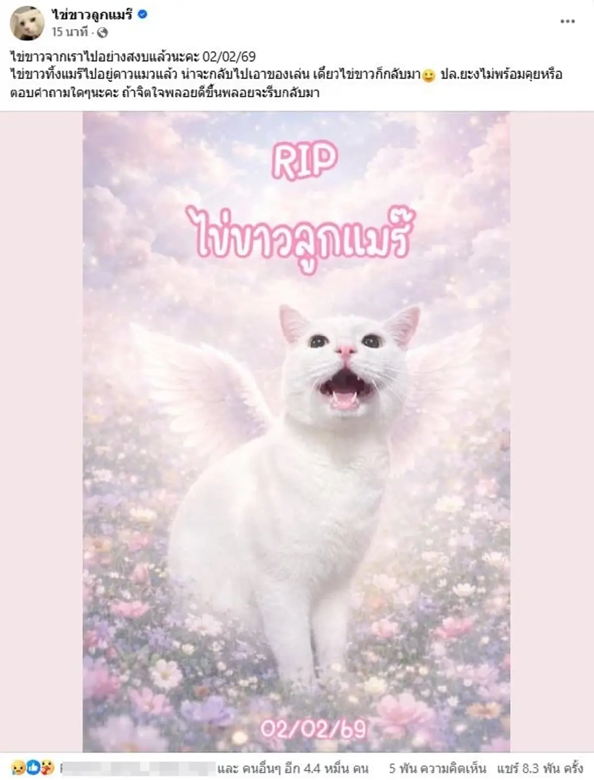 เปิดภาพสุดท้าย ส่ง ไข่ขาวลูกแมร๊ กลับดาวแมว หลับให้สบายนะลูก