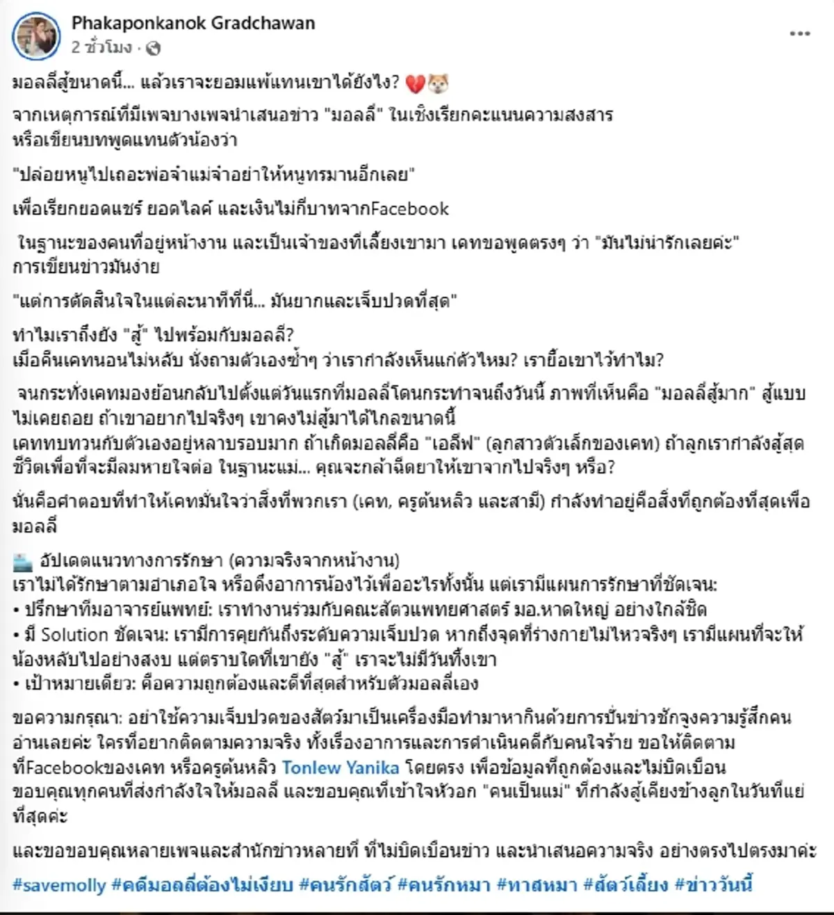 เจ้าของ ฟาดกลับเพจปั่นดราม่า "มอลลี่" อาการล่าสุดน้องสู้มาก