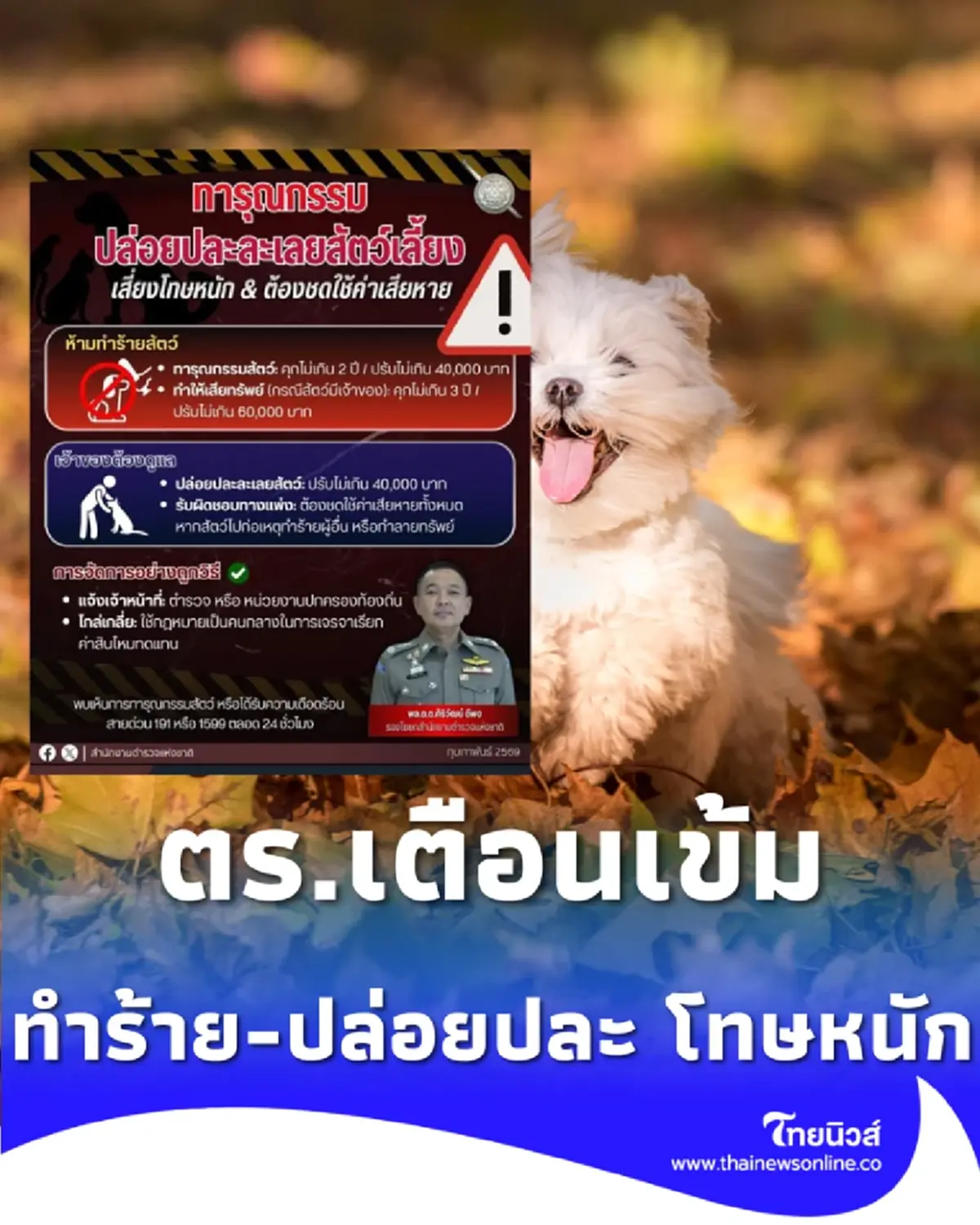 เช็ก กฎหมายใหม่คุมสัตว์เลี้ยง ทำร้ายสัตว์-ปล่อยปละ โทษหนัก