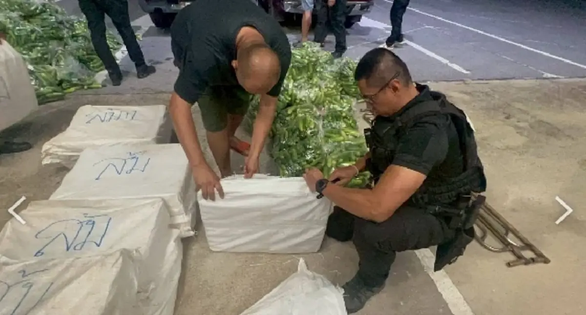 ตำรวจทางหลวง สกัดบิ๊กล็อตยาบ้า 10 ล้านเม็ด ซุกใต้กองแตงกวา