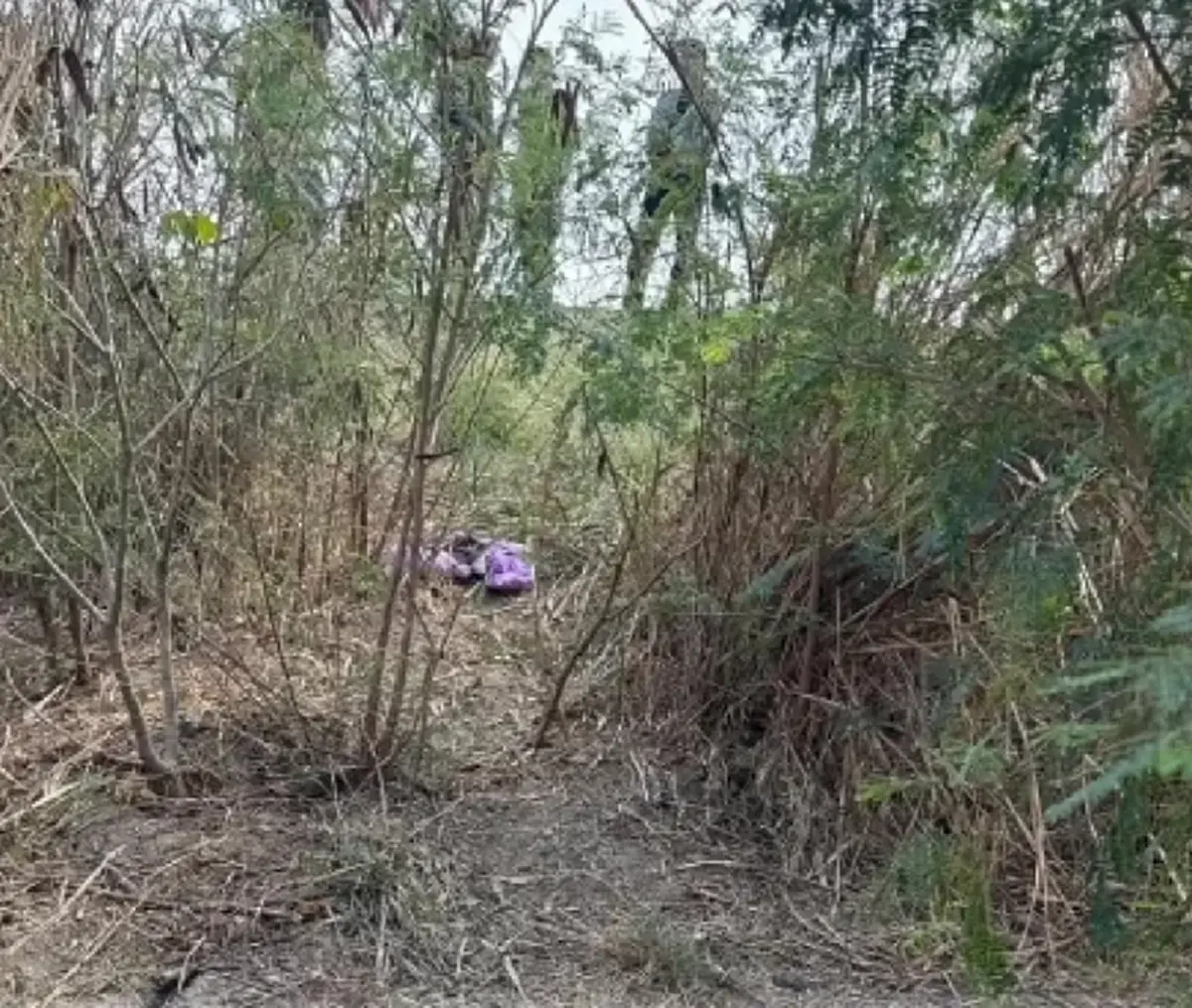 รู้แล้วตกใจ เปิดเบาะแสสำคัญ หนูน้อย 5 ขวบ ดับปริศนาในป่าริมถนน