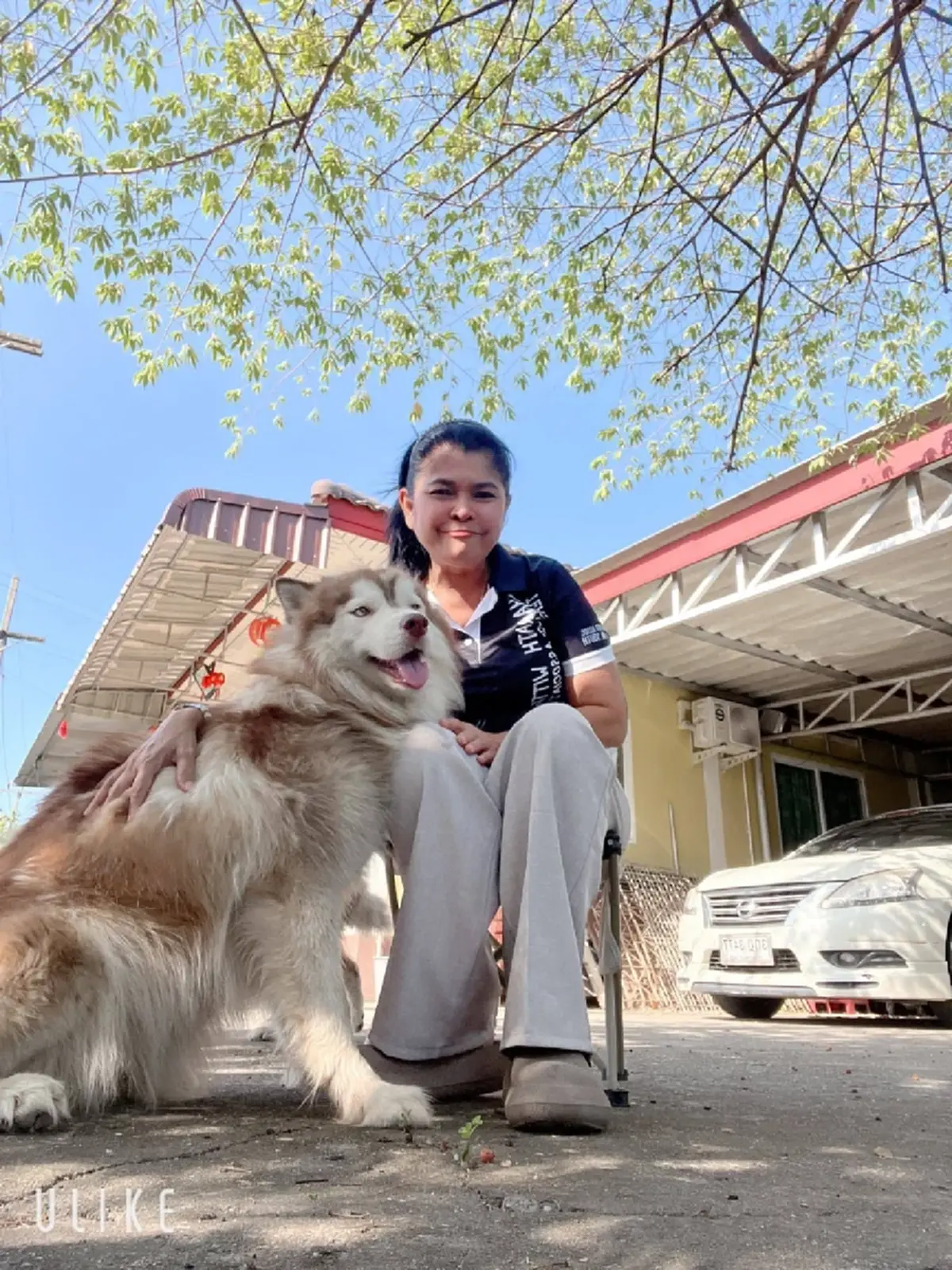 เจ้าของมอบเงินบริจาคช่วย น้องมอลลี่ ให้รพ.สัตว์ มอ. เปิดยอดชัด