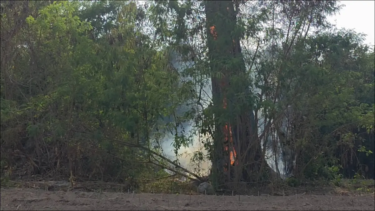 ระยองจับจริง! รวบชาวบ้านเผาป่าปลูกมันฯ หวิดลามเขตป่าสงวนแห่งชาติ