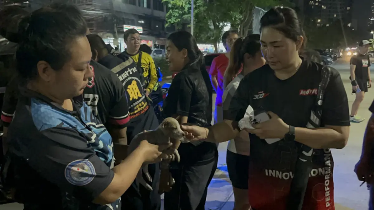 กู้ภัยศรีราชาช่วยลูกหมาติดห้องเครื่องรถกลางลานจอดสวนสุขภาพ