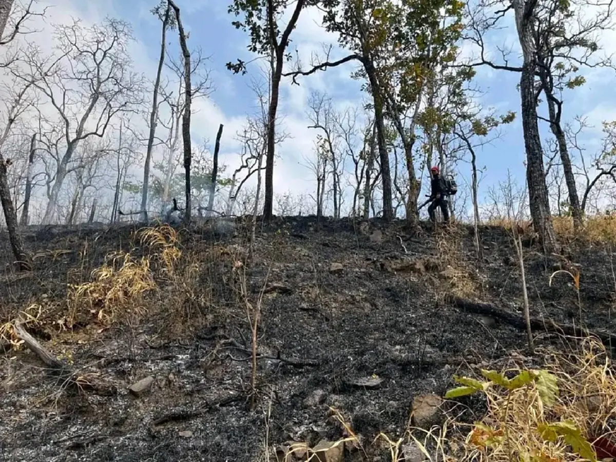 ชัยภูมิเร่งคุมไฟป่า หลังพบจำนวนฮอตสปอตพุ่งเกือบ 1,000 จุด