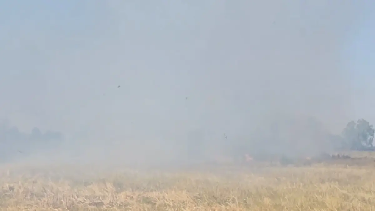 โคราชฝุ่น PM 2.5 พุ่งเกินมาตรฐาน ผู้ว่าฯสั่งคุมเข้มลักลอบเผา