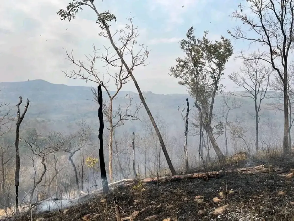 ชัยภูมิเร่งคุมไฟป่า หลังพบจำนวนฮอตสปอตพุ่งเกือบ 1,000 จุด