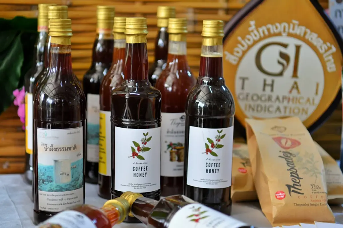 เจาะตลาดสากล! กรมทรัพย์สินทางปัญญา ปักหมุดเชียงใหม่ แหล่ง GI ขึ้นชื่อ ดันสร้างมูลค่าเพิ่ม