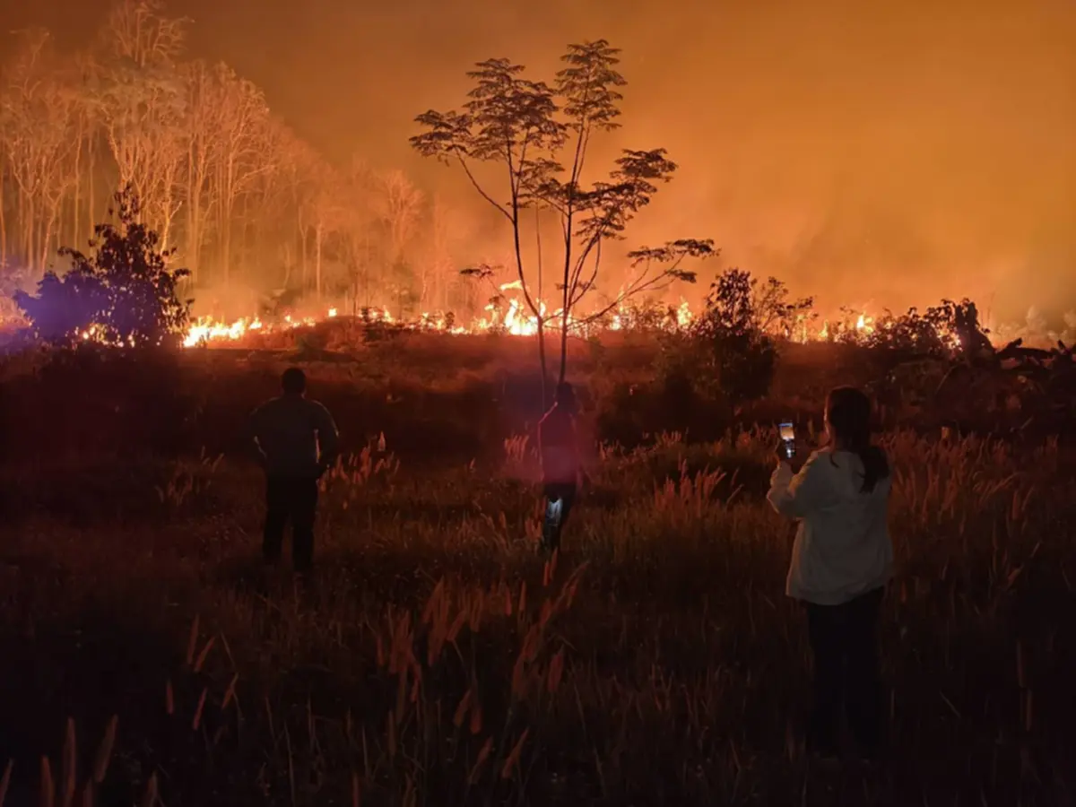 ไฟป่าสะแกราชลามหนัก เสียหายวงกว้าง เจ้าหน้าที่ยังคงเฝ้าระวัง