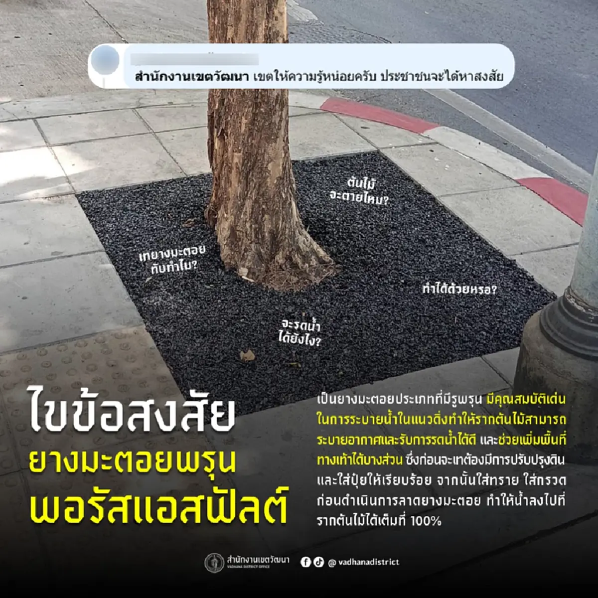 กทม. เฉลยเอง ถึงว่า ทำไมเอา ยางมะตอยมาเททับต้นไม้ ถึงบางอ้อเลย