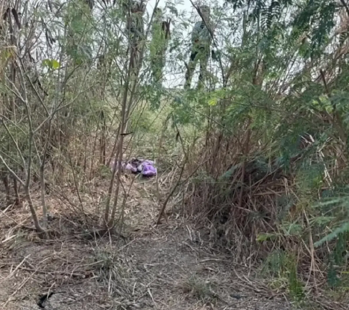 น้องนิรนามคือใคร ตั้งเงินรางวัล 15,000 คลี่ปริศนาหนูน้อย 5 ขวบ