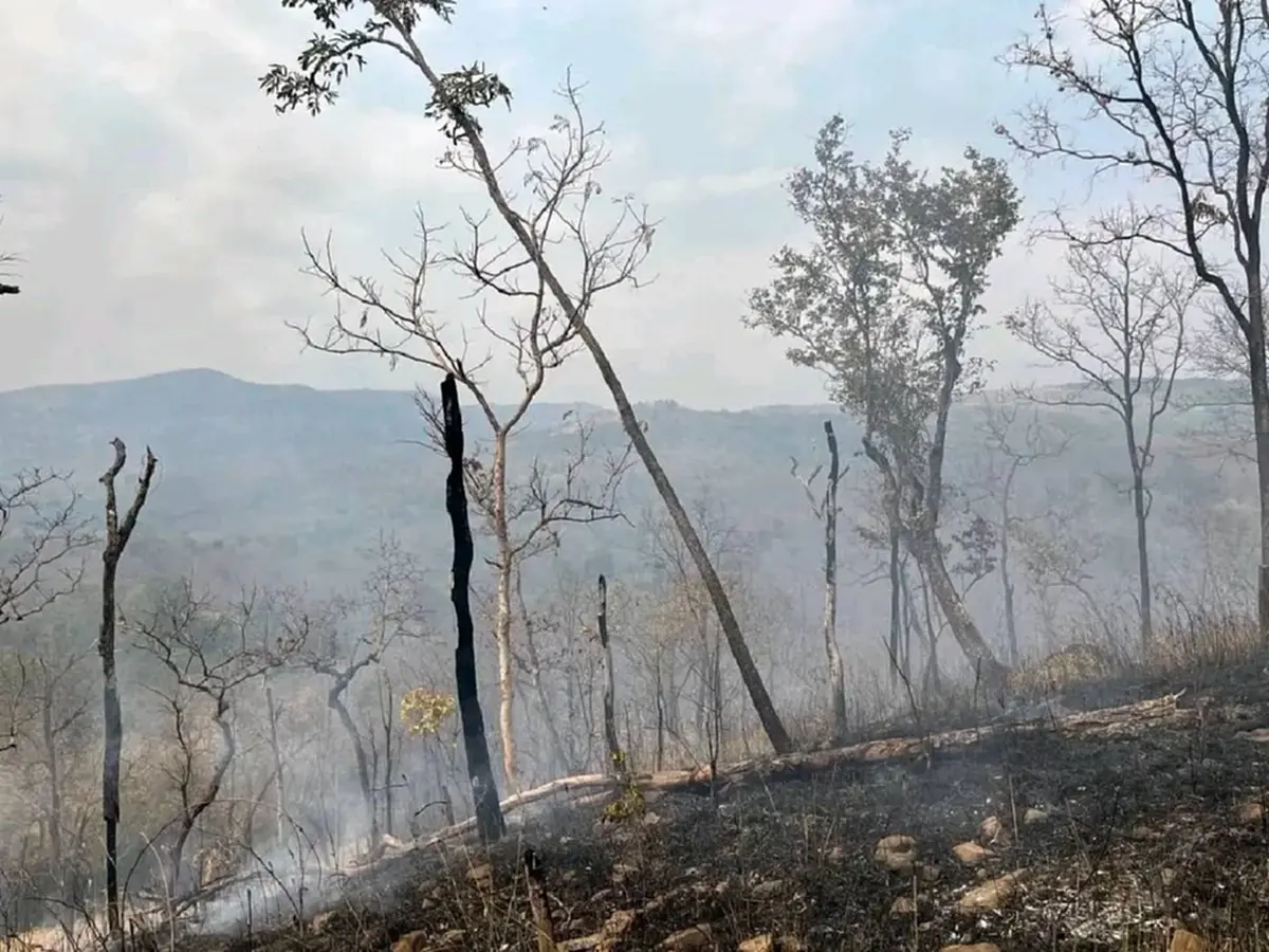 ชัยภูมิเร่งคุมไฟป่า หลังพบจำนวนฮอตสปอตพุ่งเกือบ 1,000 จุด