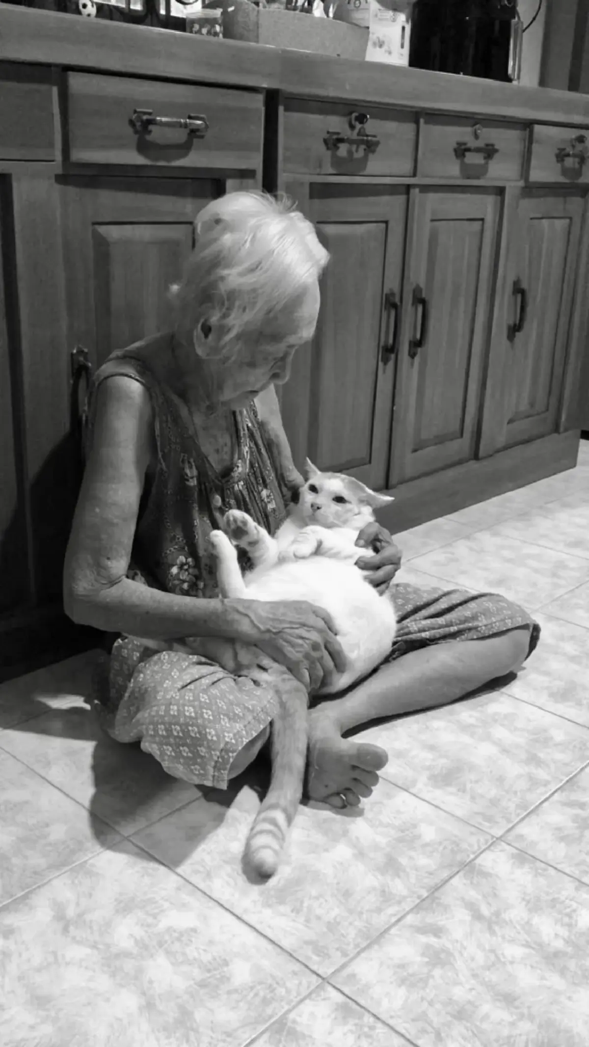 สุดเศร้า แมวลุงจอน จากเพจไอ้หนูของยาย กลับดาวแมวแล้ว