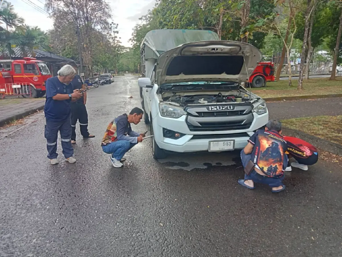 ส่องทะเบียนรถ งูจงอาง ชูคอแผ่แม่เบี้ยหราหน้ารถ 4 ชม. กว่าจะจับได้