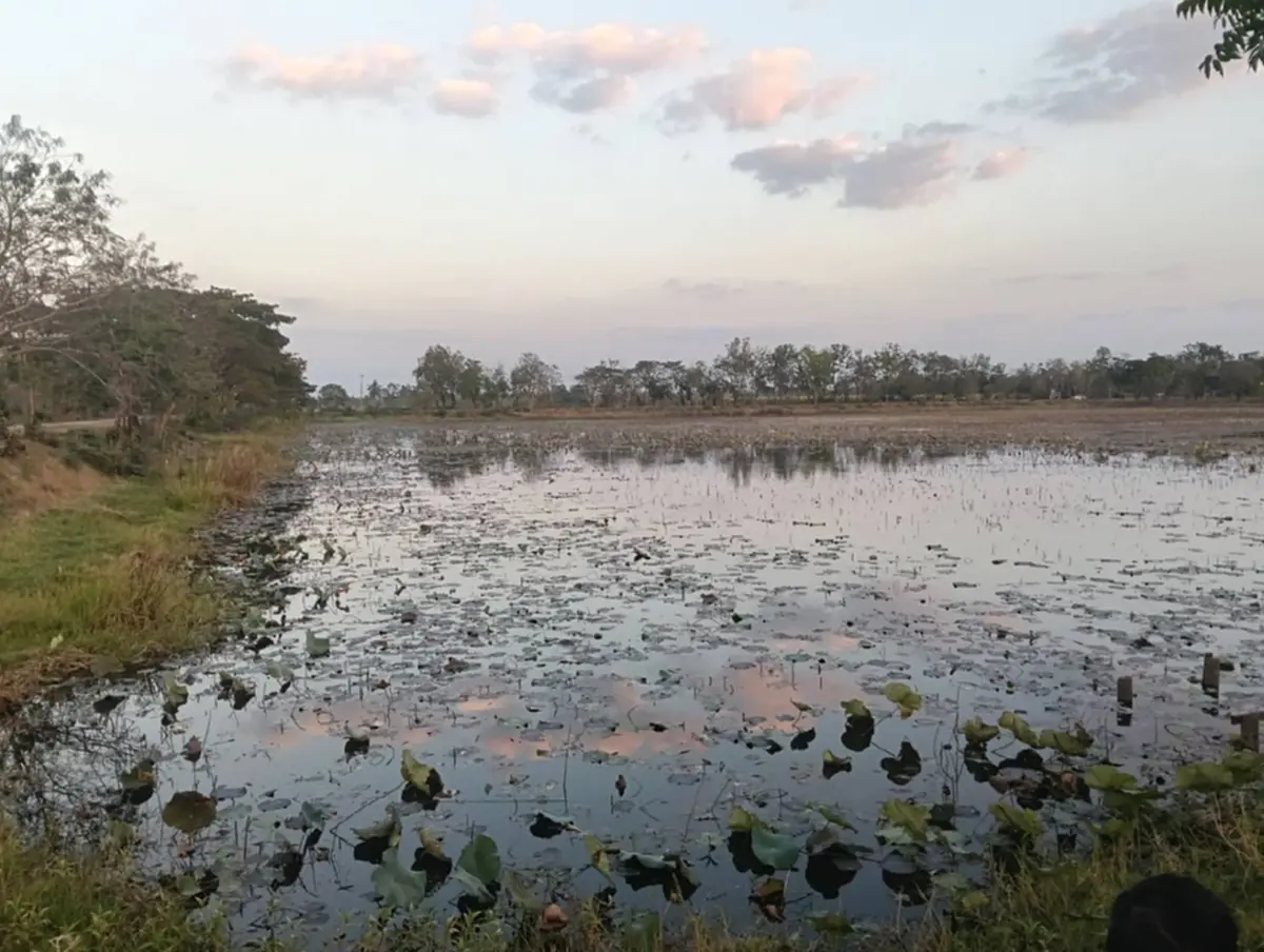 แม่เปิดความจริง หนุ่ม 19 ดับในบึงบัว แท้จริงไม่ได้ไปถ่ายคอนเทนต์