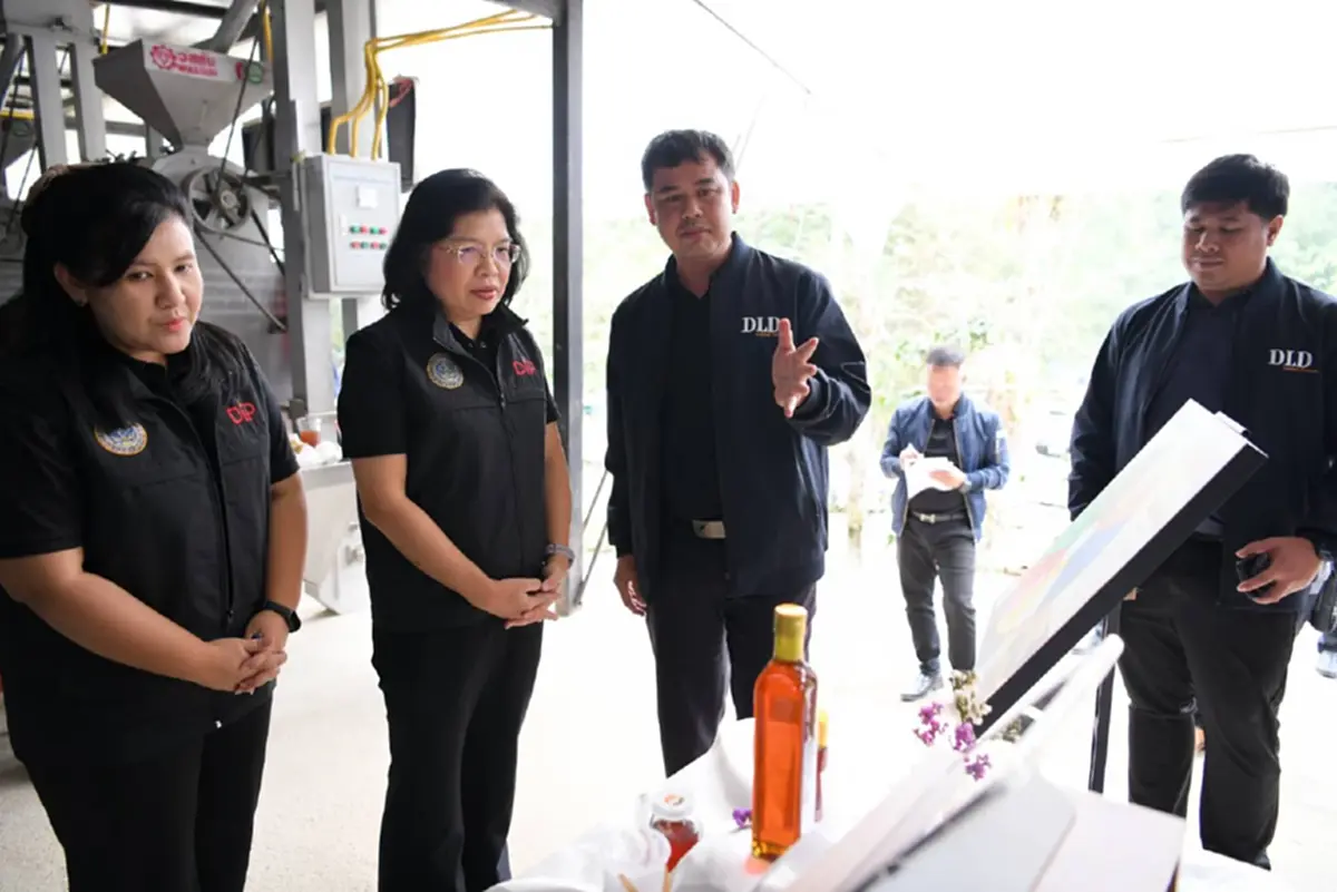 เจาะตลาดสากล! กรมทรัพย์สินทางปัญญา ปักหมุดเชียงใหม่ แหล่ง GI ขึ้นชื่อ ดันสร้างมูลค่าเพิ่ม