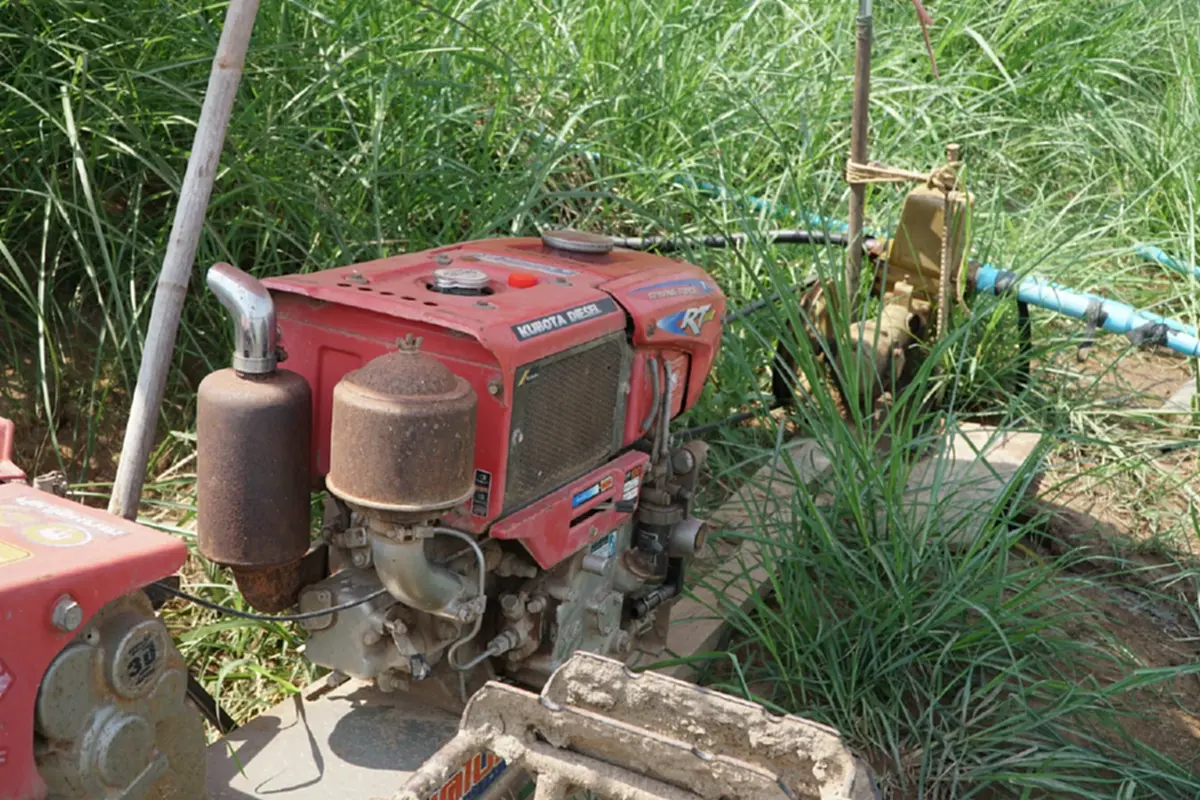 น้ำมันพุ่ง-ปุ๋ยขยับ ชาวสวนมะเขือเทศหนองคายโอด วอนรัฐตรึงราคา