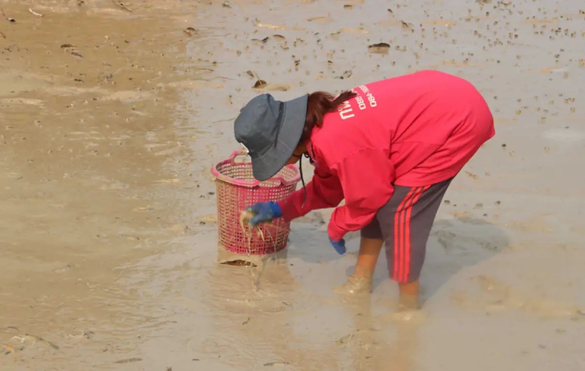 วิกฤตน้ำมันแพทำพิษ! ชาวนากุ้งกาฬสินธุ์อ่วม จี้รัฐเร่งแก้ไข