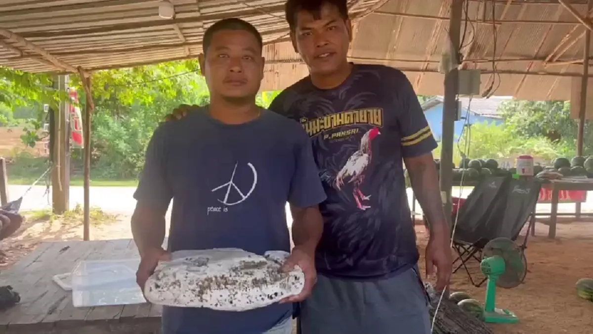 หนุ่มระยอง! พบอ้วกวาฬยักษ์หนัก 5.6 กก. ลอยเกยหาดทะเลงาม