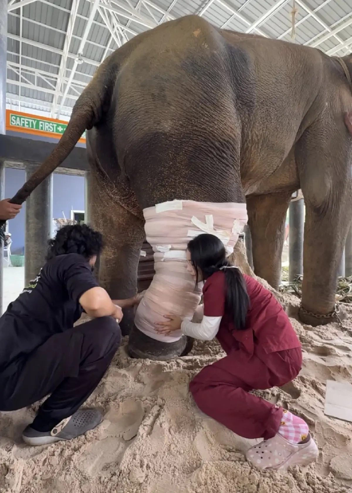 บีบหัวใจ หมอโบว์ ยอมรับตรงๆ อาการ "พลายเดียว" ครบ 1 เดือน น่าห่วงมาก