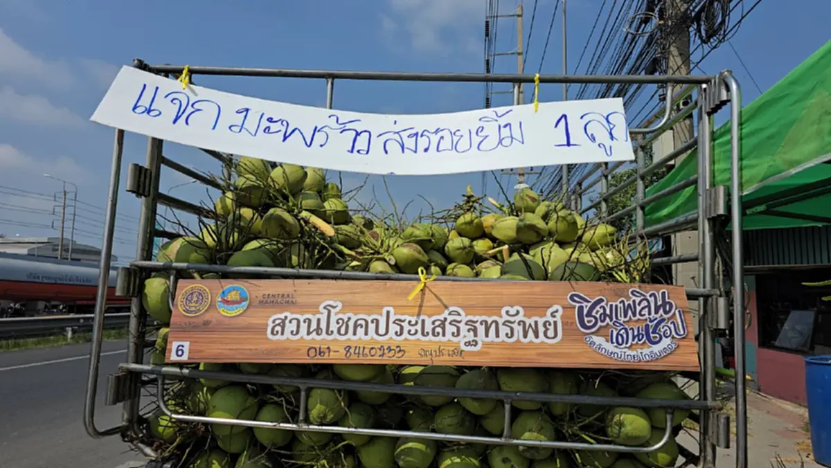 น้ำใจงาม! เจ้าของสวนมะพร้าวบ้านแพ้ว แจก 1,500 ลูก แลก "1 รอยยิ้ม"