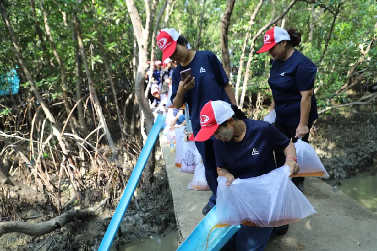 สมุทรสาครผนึกเอกชนปล่อยพันธุ์สัตว์น้ำ 2.1 แสนตัวฟื้นฟูมหาชัย