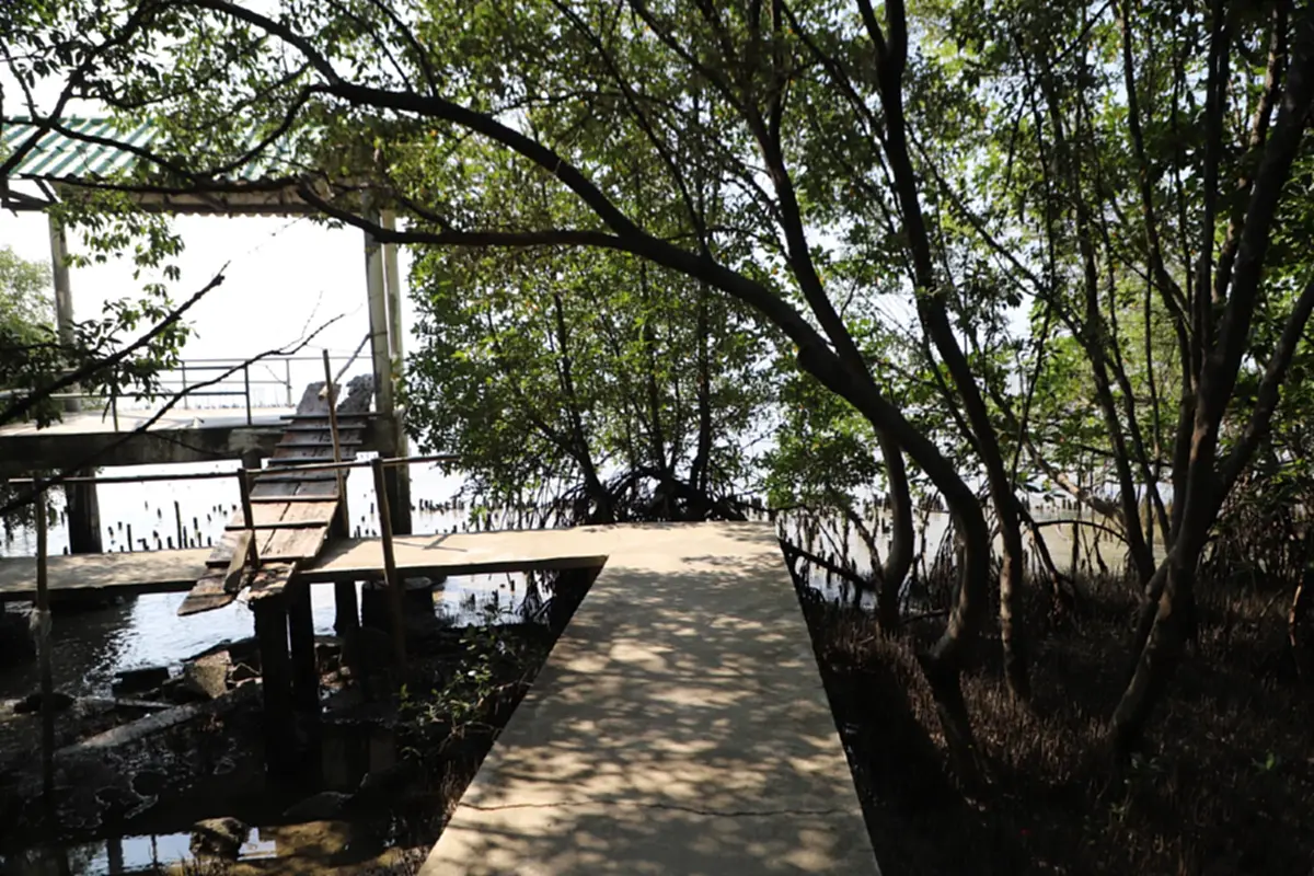 สมุทรสาครผนึกเอกชนปล่อยพันธุ์สัตว์น้ำ 2.1 แสนตัวฟื้นฟูมหาชัย