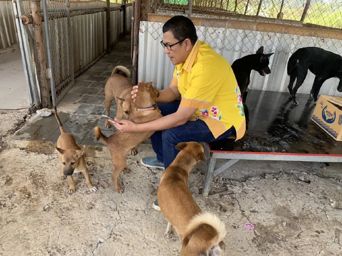 20 ปีทำด้วยใจ นายกปากแควทุ่มเงินส่วนตัวเปิดศูนย์ดูแลหมาจร