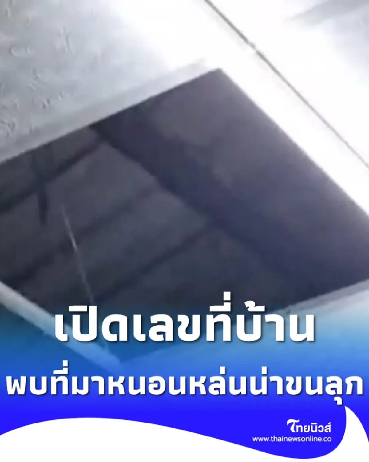 เลขที่บ้าน สาวฝันซ้ำ 3 คืนติด ก่อนเจอหนอนหล่นจากฝ้า พบต้นตอขนลุก