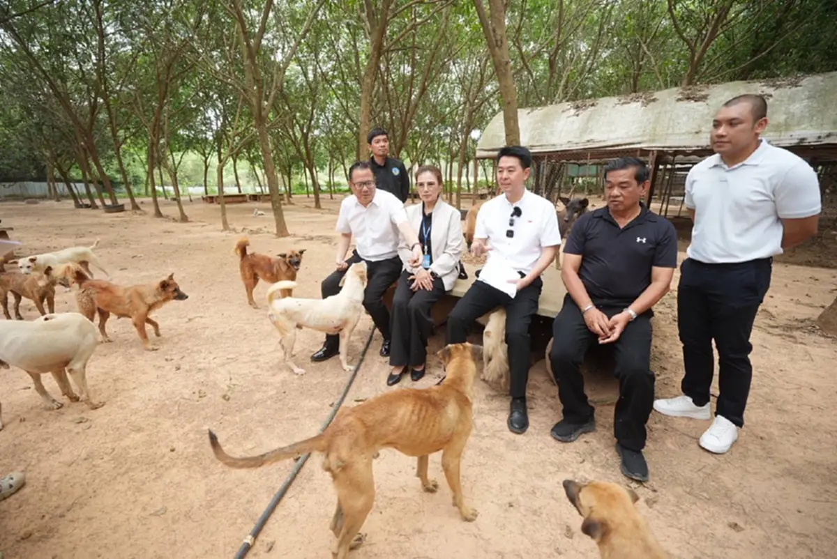 ภาพ @นายสมประสงค์ โภชน์พันธุ์