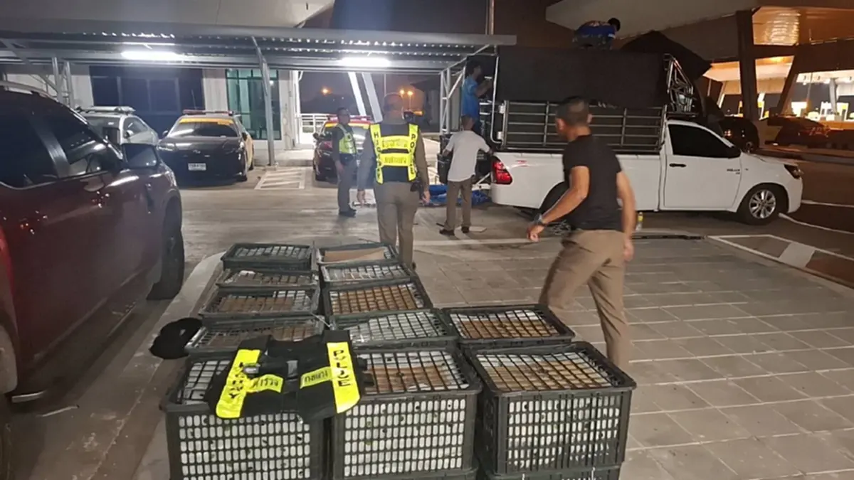 ทางหลวง M6 จับกระบะขนอะโวคาโดเถื่อน 2.5 ตัน คนขับไร้เอกสารนำเข้า