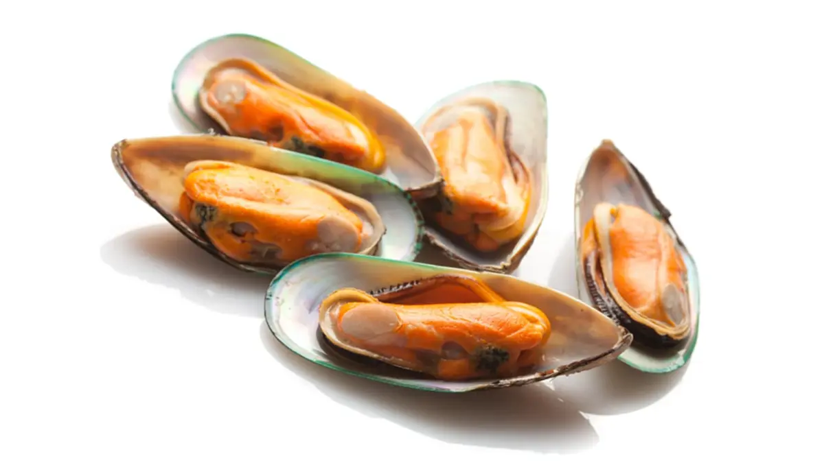 ไขข้อสงสัย! หอยแมลงภู่สีส้ม vs สีขาว ต่างกันยังไง สีไหนอร่อยกว่า?