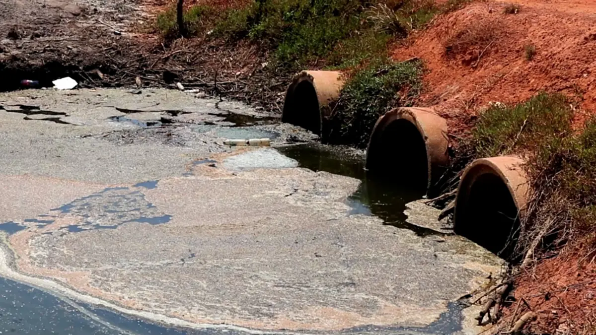 3 สส.ชุมพรบุกแฉฟาร์มกุ้งนายทุน ลอบปล่อยน้ำเสียทำป่าพรุพังพินาศ