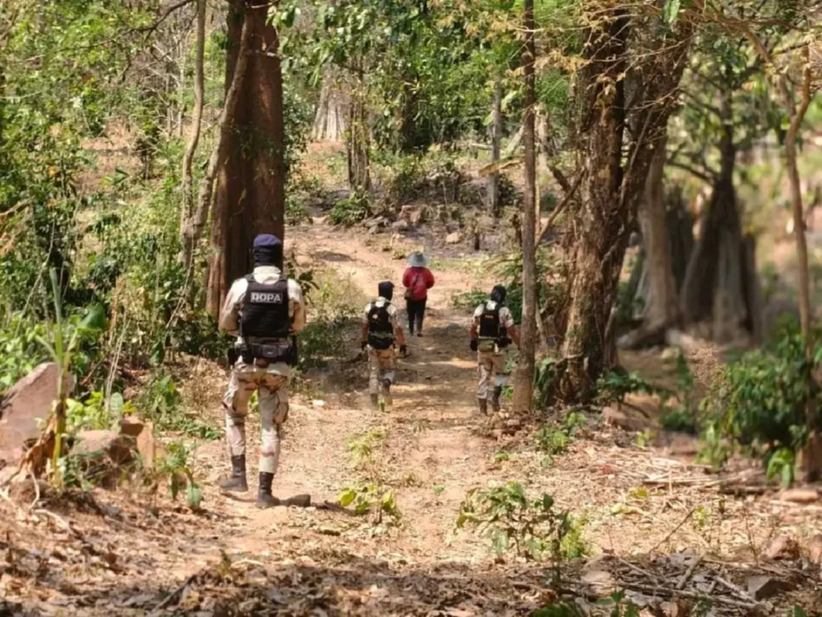 รวบมอดไม้! แอบเผาโคนต้นไม้ให้ยืนต้นตาย หวังฮุบป่าขายนายทุน