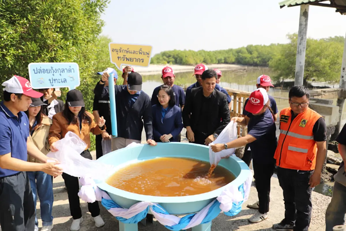 สมุทรสาครผนึกเอกชนปล่อยพันธุ์สัตว์น้ำ 2.1 แสนตัวฟื้นฟูมหาชัย