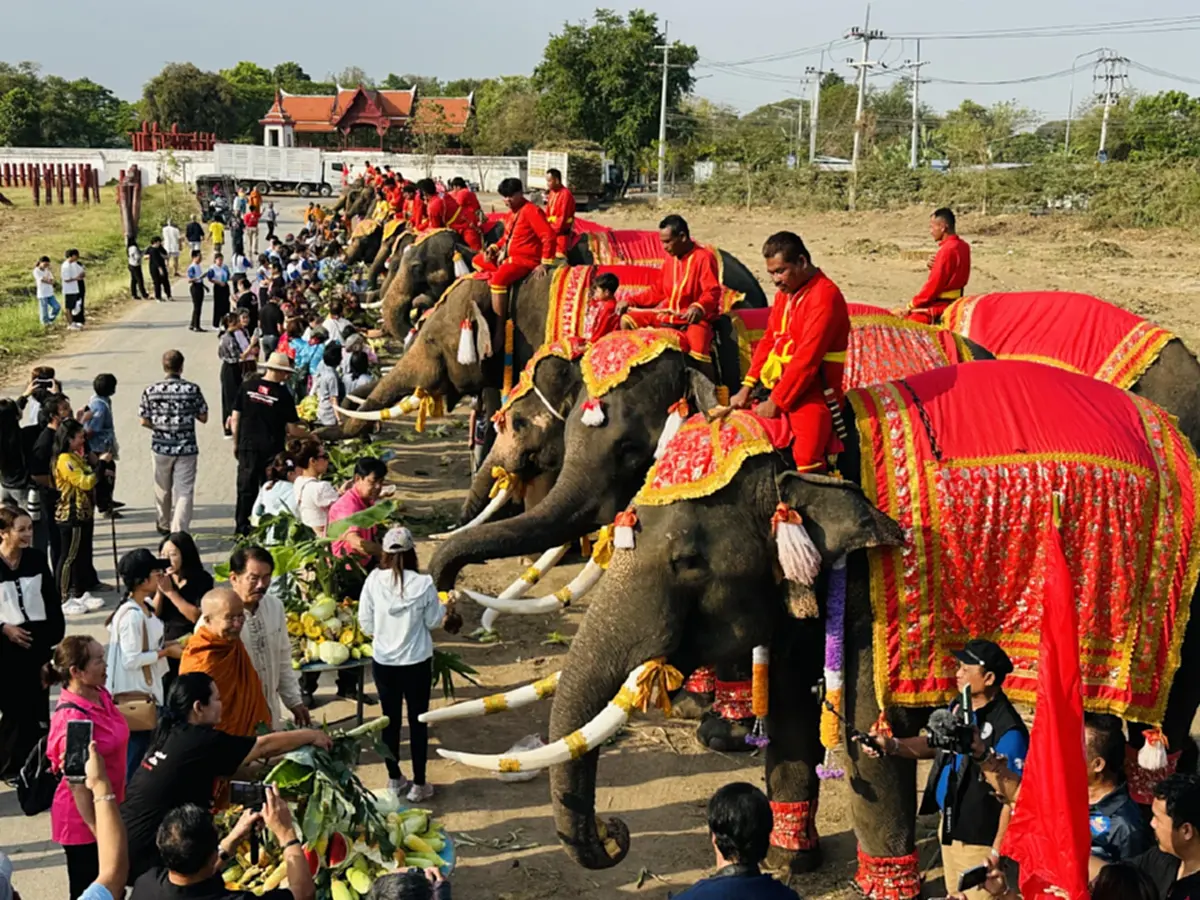 เชิดชูเกียรติช้างไทย! จัดบวงสรวง-เลี้ยงโต๊ะจีนผลไม้ชุดใหญ่