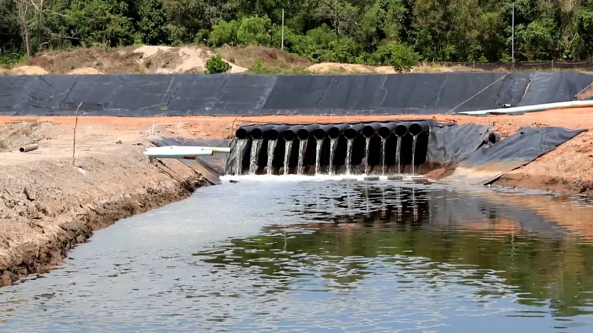 3 สส.ชุมพรบุกแฉฟาร์มกุ้งนายทุน ลอบปล่อยน้ำเสียทำป่าพรุพังพินาศ