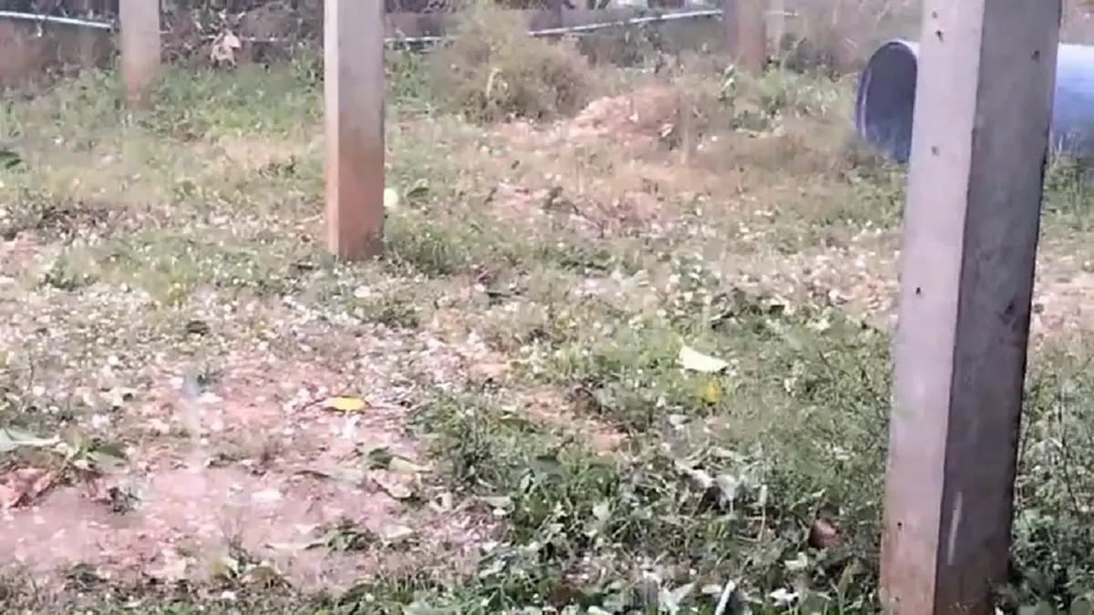 ปภ.บึงกาฬสั่งเข้ม! รับมือพายุ หลังลูกเห็บถล่มบุ่งคล้า