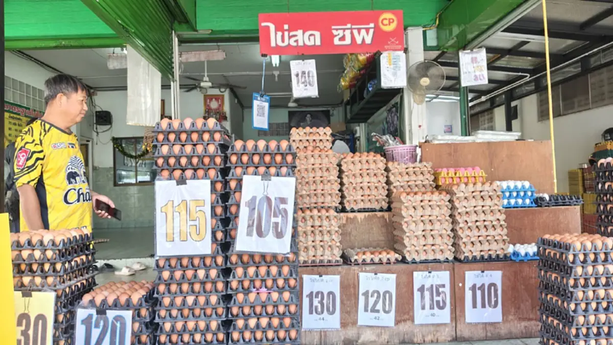 ไข่ไก่ปรับขึ้นแผงละ 6 บาททั่วไทย ชี้อากาศร้อนทำผลผลิตวูบ