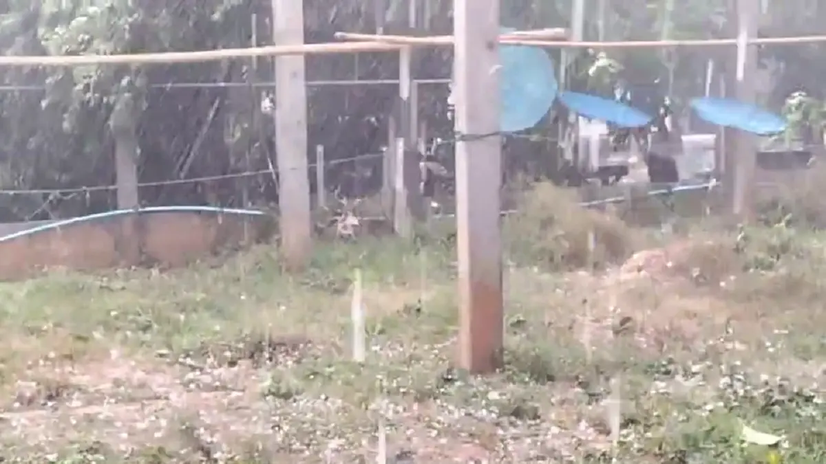 ปภ.บึงกาฬสั่งเข้ม! รับมือพายุ หลังลูกเห็บถล่มบุ่งคล้า