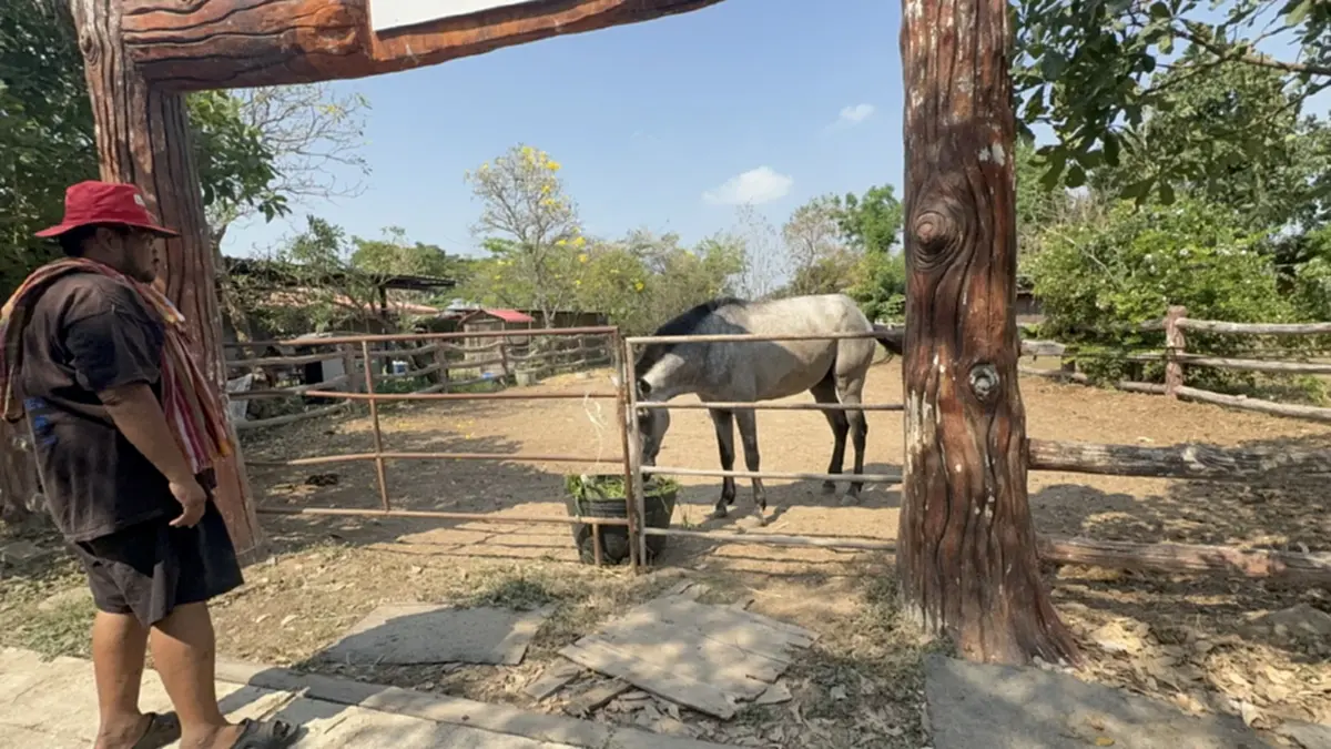 อาจารย์สักยันต์ชื่อดังควบม้าคู่ใจตระเวนหาซื้อน้ำมันปั๊มหลอด