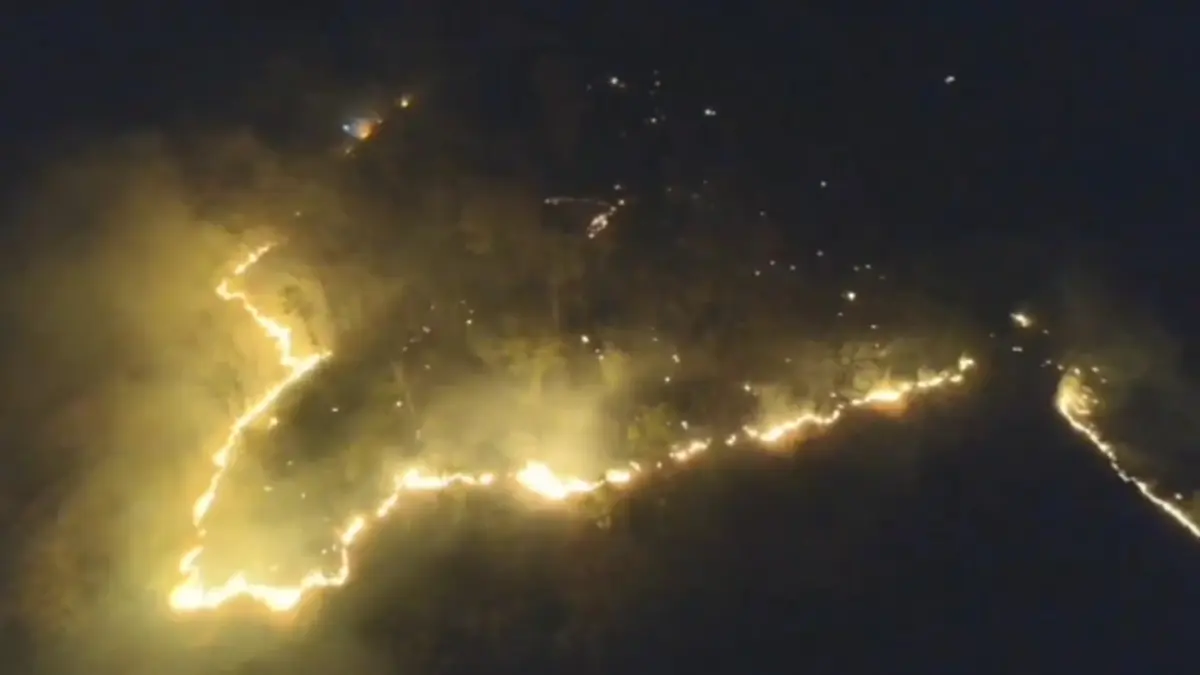 หลวงพ่อหนักใจ! ชาวบ้านเผาป่าหาผักหวาน ทำดอยม่วงคำวอด 60 ไร่