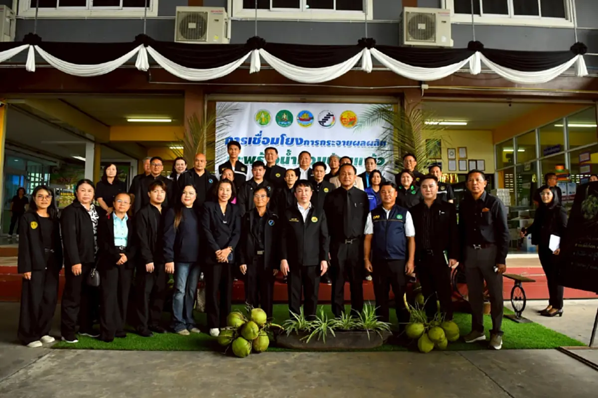 สหกรณ์หนุนล้งกลางมะพร้าวน้ำหอม ปลดแอกล้งจีนฮั้วกดราคา 2 บาท