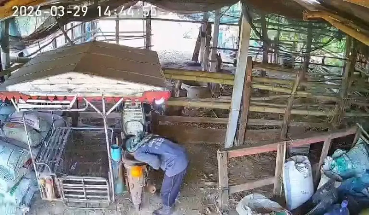 เจ็บกระดองใจ! โจรบุกเถียงนาลักดูดน้ำมันซาเล้งเกลี้ยงถัง