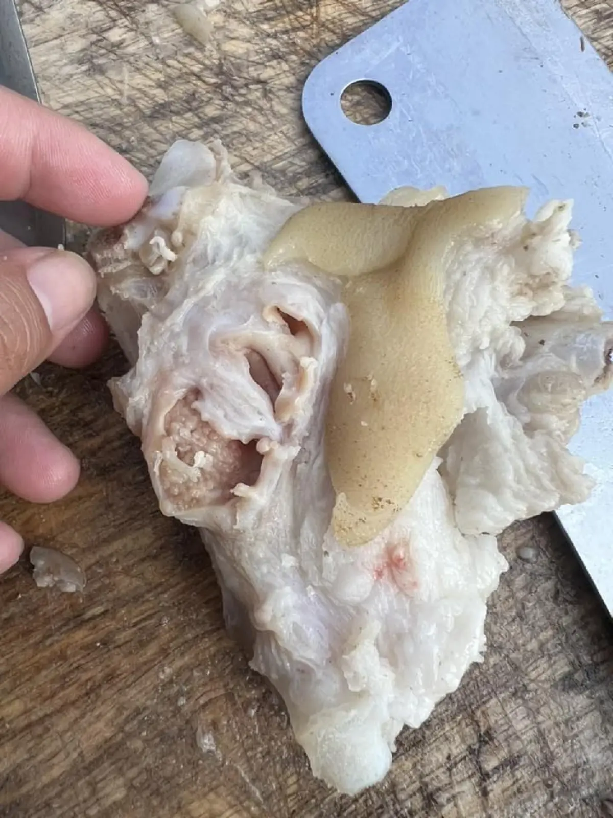 สาวสยอง เจอเม็ดใสๆในขาหมู โพสต์ถามชาวเน็ตแห่เตือนสนั่น