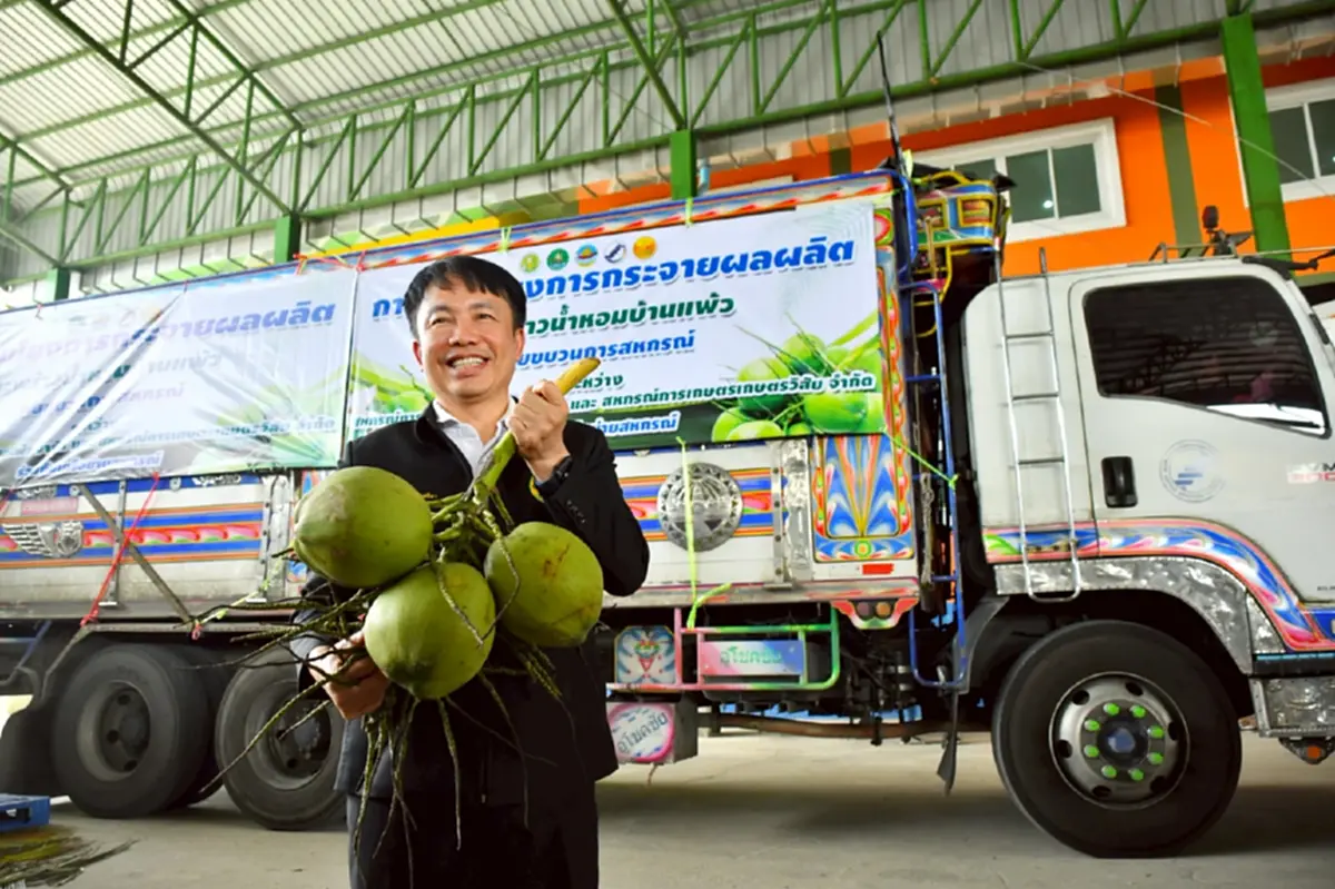 สหกรณ์หนุนล้งกลางมะพร้าวน้ำหอม ปลดแอกล้งจีนฮั้วกดราคา 2 บาท